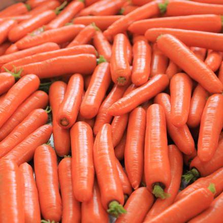 Carrots