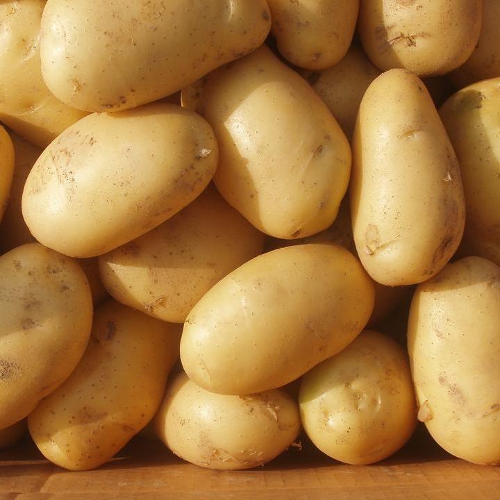 Potatoes